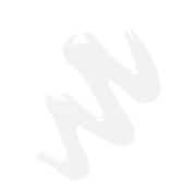 Swiss Beauty Pro Eyelash Glue - White (5 ml)