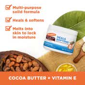 Palmer's Cocoa Butter Daily Skin Therapy Solid formula Cream Jar (100 g)