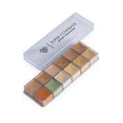 PAC Super Coverage Cream Concealer Palette - X12 Shade (7.5 g)