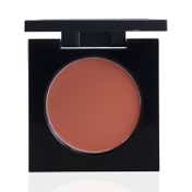 PAC Studio Cream Blusher - 02 Shade (8 g)