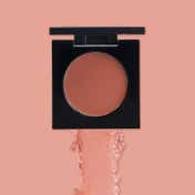 PAC Studio Cream Blusher - 02 Shade (8 g)