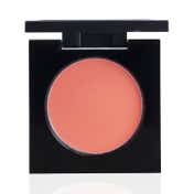 PAC Studio Cream Blusher - 05 Shade (8 g)