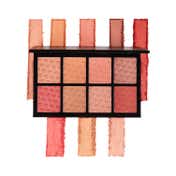 PAC Spotlight Blusher Palette - X8 Shade (5.6 g)