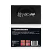 PAC Spotlight Blusher Palette - X8 Shade (5.6 g)