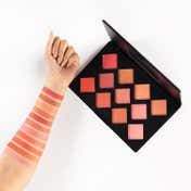 PAC Take Cover Blusher - X11 Shade (3.2 g)