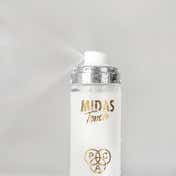 PAC Midas Touch Makeup Fixer Non Sticky Infused With Pearlescent Particles (110 ml)