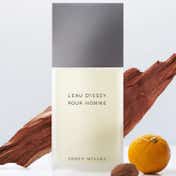 Issey Miyake L'Eau d'Issey Pour Homme EDT (125 ml)