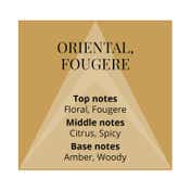 Colour Me Homme Gold Eau De Parfum (50ml)