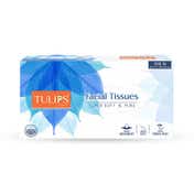 Tulips Facial Tissues (2 Ply x 100 Pulls)