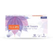 Tulips Facial Tissues (2 Ply x 100 Pulls)