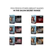 BBlunt Salon Secret High Shine Cream Hair Color - 4.56 Mahogany Reddish Brown (100g+8ml)