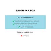 BBlunt Salon Secret High Shine Cream Hair Color - 4.20 Wine Deep Burgundy (100g+8ml)