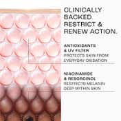 Lakme Absolute Perfect Radiance Skin Brightening Day Creme (15g)