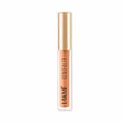 Lakme 9to5 Powerplay Priming Concealer Built in Primer Hydrating - 30 Cinnamon (5.4 ml)