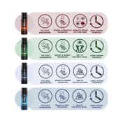 Wild Stone Intense No Gas Mini Deodorant Travel Pack Gift Set (4Pcs)