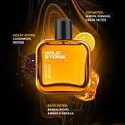 Wild Stone Night Rider Eau De Parfum (100ml)