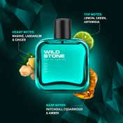 Wild Stone Edge Eau De Parfum (100ml)