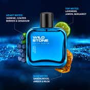 Wild Stone Hydra Energy Eau De Parfum (100ml)