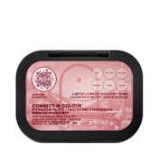 M.A.C Connect In Colour X6 Eye Shadow Palette - Embedded In Burgundy (8.28 g)