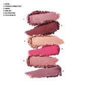 M.A.C Connect In Colour X6 Eye Shadow Palette- Rose Lens (8.28 g)