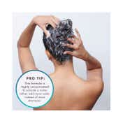 Moroccanoil Moisture Repair Shampoo + Conditioner + Treatment Hair Oil + Hair Mask Combo ( 240 ml)
