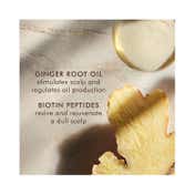 Moroccanoil Oily Scalp Hair Treatment (45ml)