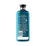 Herbal Essences Repair Argan Oil of Morocco Shampoo (400 ml) (Pack of 2)