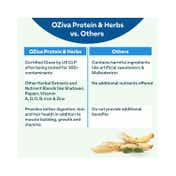 Oziva Protein & Herbs Powder for Men Chocolate (1000 g)