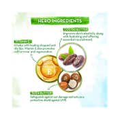 Mamaearth 100% Natural Lip Balm - Coco Tinted (2 g)