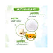 Mamaearth Milky Soft Diaper Rash Cream for Babies (50 g)
