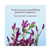 LOVE beauty AND planet Onion Blackseed Patchouli Hair Fall Control Free Shampoo & Conditioner Combo