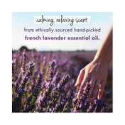 LOVE beauty AND planet Argan Oil & Lavender Sulfate Free Smooth And Serene Shampoo & Hair Mask Combo