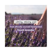 LOVE beauty AND planet Natural Argan Oil And Lavender Smoothening Shampoo & Conditioner Combo