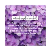 LOVE beauty AND planet Rice Water & Angelica Seed Oil Conditioner for Curly and Wavy Hair (400 ml)