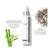 Dermalogica Antioxidant Hydramist Toner with Rose (150ml)