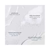 Dermalogica Discover Healthy Skin Kit (4 Pcs)