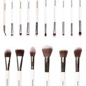 Praush Beauty 16 Pcs Professional Makeup Brush Set For Face & Eyes With Makeup Pouch