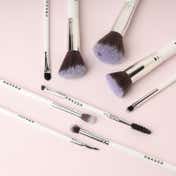 Praush Beauty 9 Pcs Professional Makeup Brush Set For Face & Eyes With Makeup Pouch