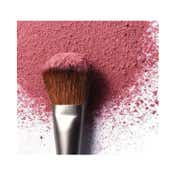 Anastasia Beverly Hills Face Brush A30 (5.6 g)