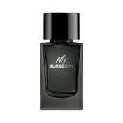 Burberry Mr. Burberry Eau De Parfum (100ml)