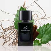 Burberry Mr. Burberry Eau De Parfum (100ml)
