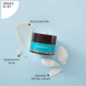 Pilgrim Oil Free Gel Moisturiser (50g)