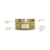 Forest Essentials Japapatti & Brahmi Intensive Hair Repair Masque (100g)