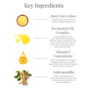 Forest Essentials Som Rasa Silk Skin Tint Foundation - Gulab Pankh (40 ml)