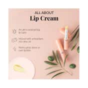 DHC Megastars Makeup Remover + Lip Balm Combo