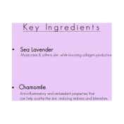 Vitamins and Sea Beauty Sea Lavender and Chamomile Overnight Hydrating Moisturizing Night Face Mask (240g)