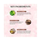 Just Herbs Enriched Matte Liquid Lipstick - (3Pcs)
