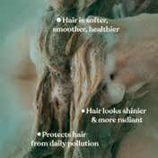 The Body Shop Moringa Shine & Protection Shampoo (250ml)