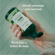 The Body Shop Moringa Shine & Protection Shampoo (250ml)