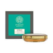 Forest Essentials Luscious Narangi Glaze Lip Balm (4 g)